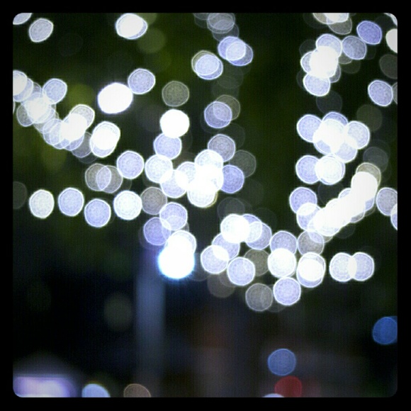 Meet your Posher, Yvette - Picture 1 of 1